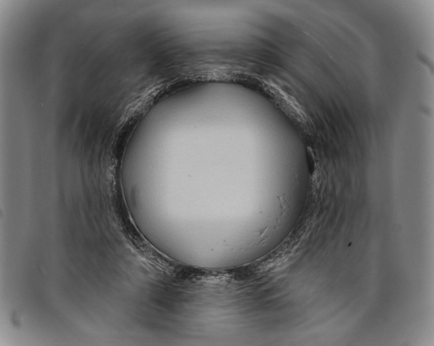 X0000097970306200804141059