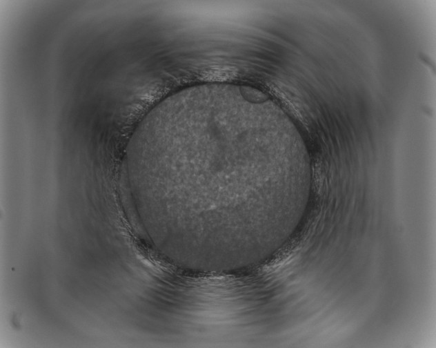 X0000097970307200804141059