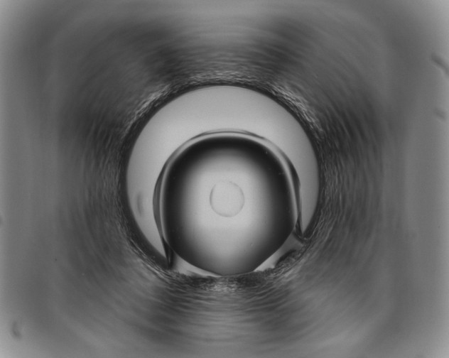 X0000097970308200804141059