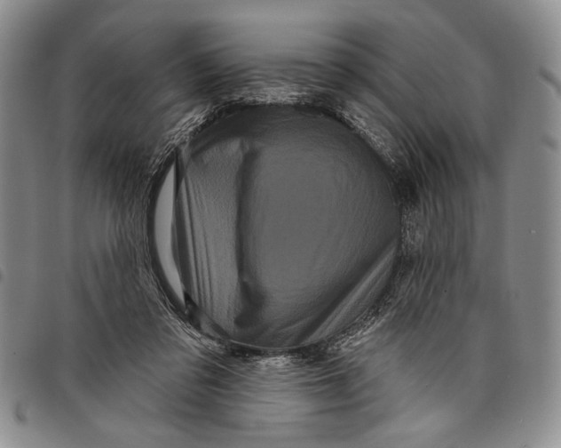 X0000097970309200804141059