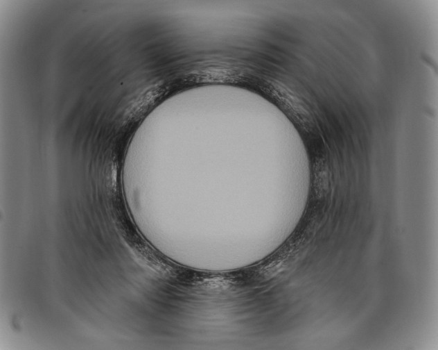 X0000097970310200804141059