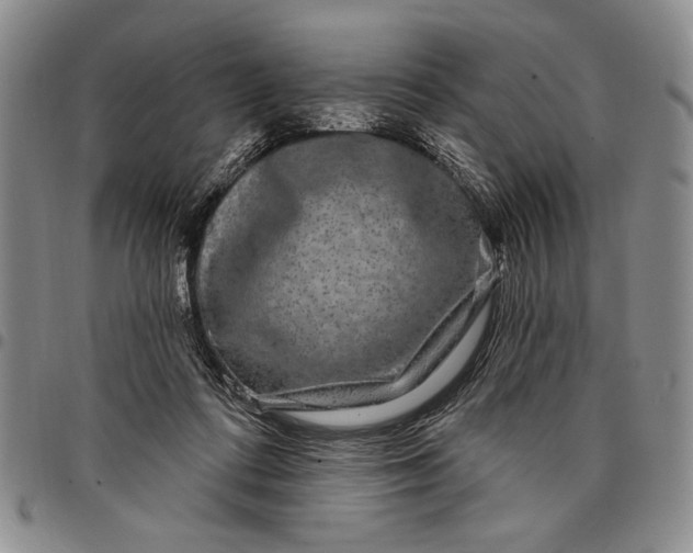 X0000097970312200804141059