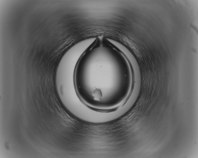 X0000097970313200804141059