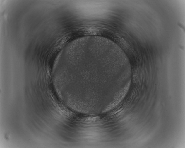 X0000097970314200804141059