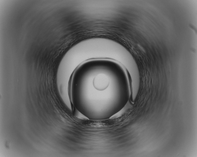 X0000097970316200804141059