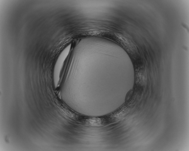 X0000097970317200804141059