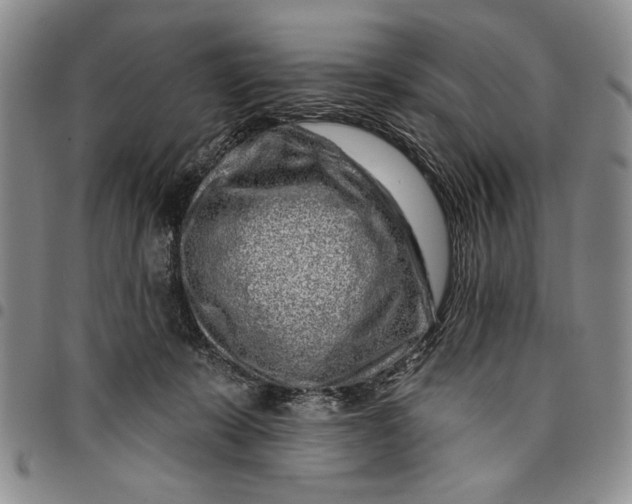 X0000097970319200804141059