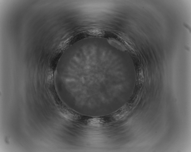 X0000097970320200804141059