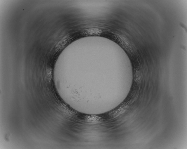 X0000097970321200804141059