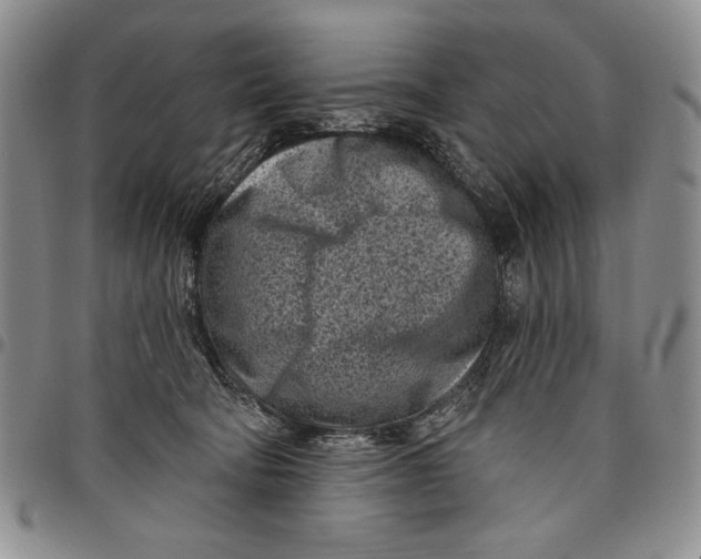 X0000097970322200804141059