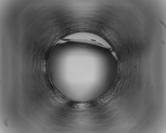 X0000097970323200804141059