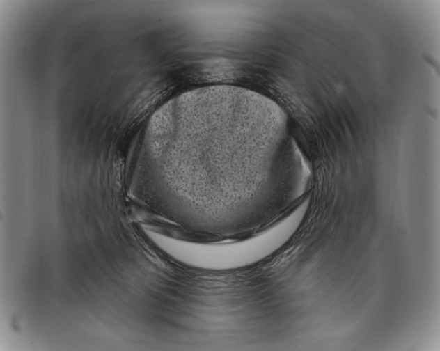 X0000097970325200804141059