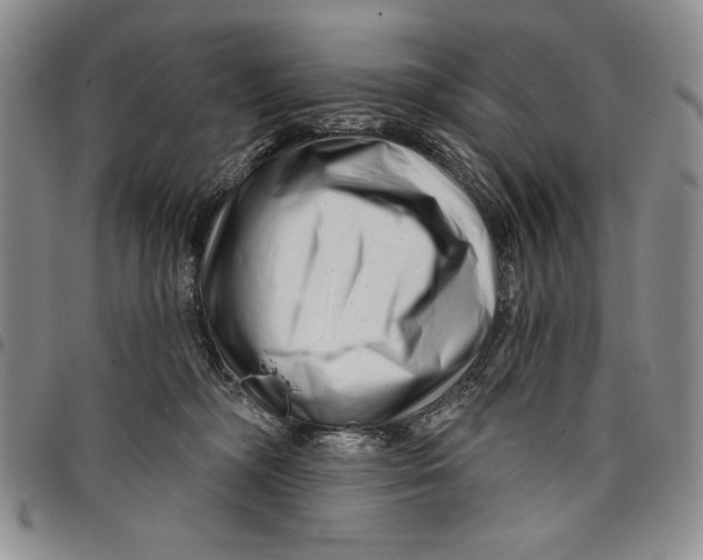 X0000097970326200804141059