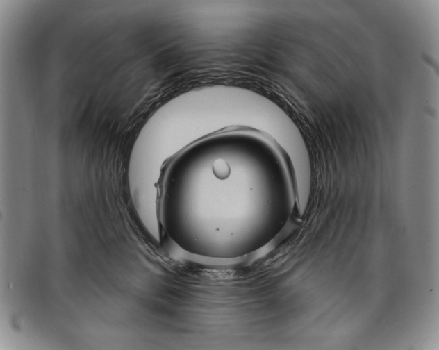 X0000097970328200804141059