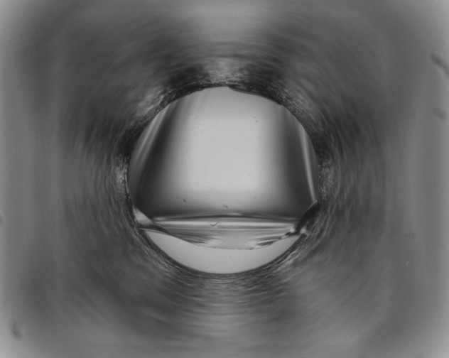 X0000097970329200804141059