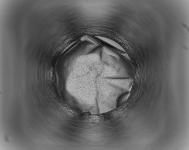 X0000097970330200804141059