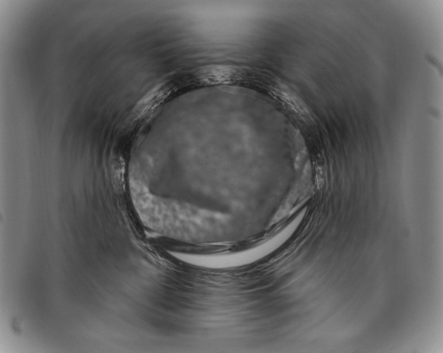 X0000097970332200804141059