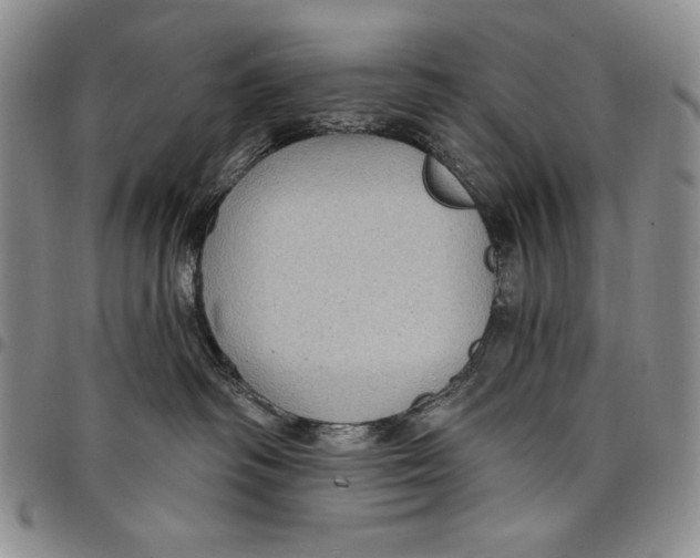 X0000097970334200804141059