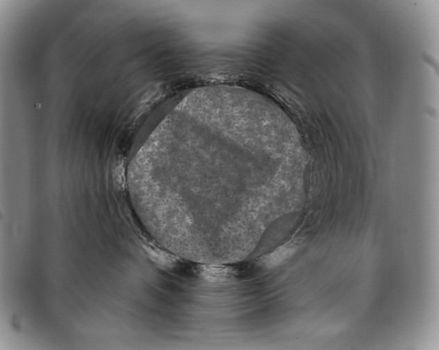 X0000097970336200804141058
