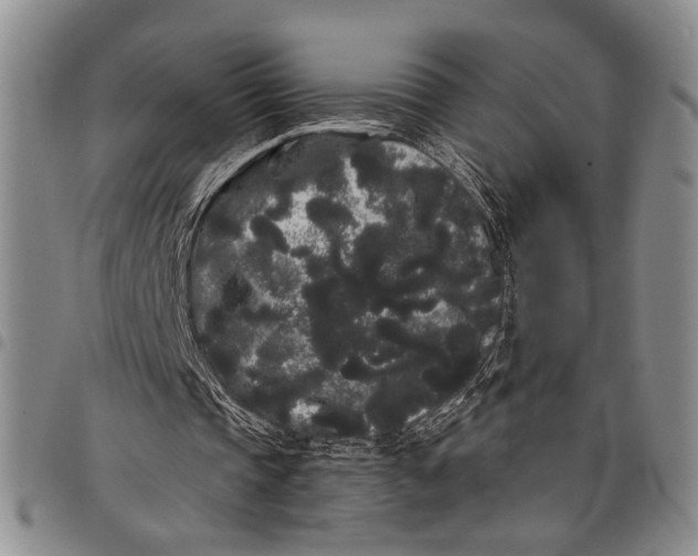 X0000097970337200804141058
