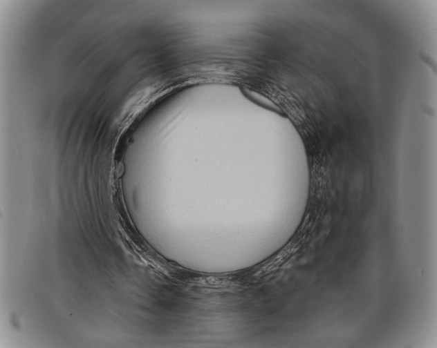 X0000097970338200804141058