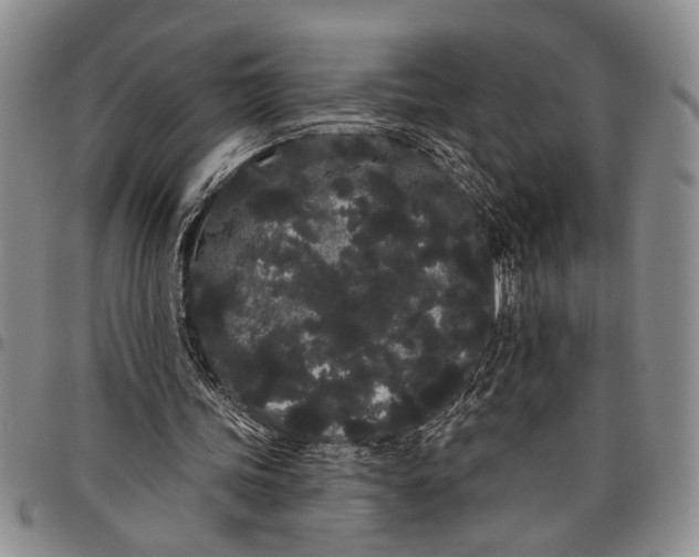 X0000097970339200804141058