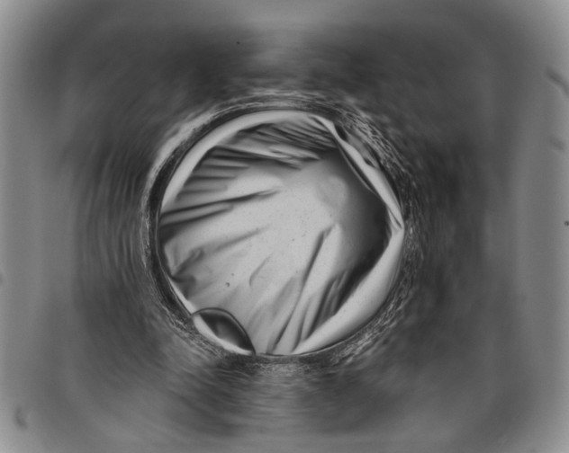 X0000097970342200804141058