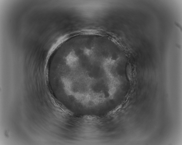 X0000097970343200804141058