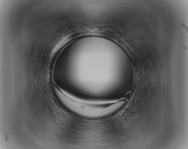 X0000097970344200804141058