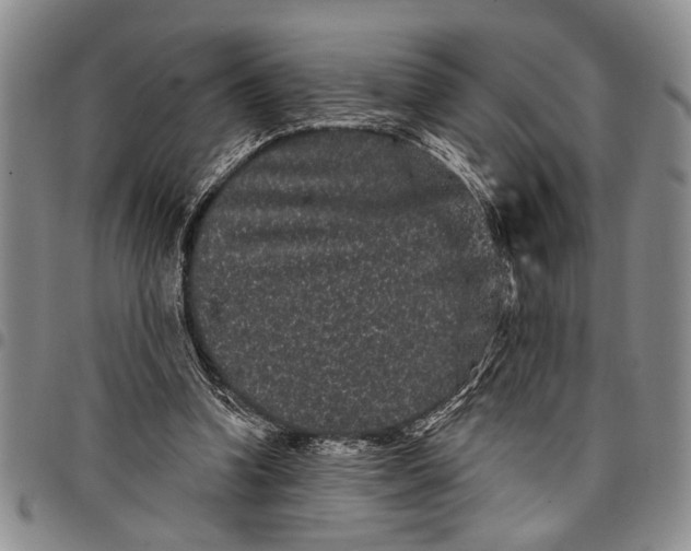 X0000097970346200804141058