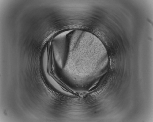 X0000097970348200804141058