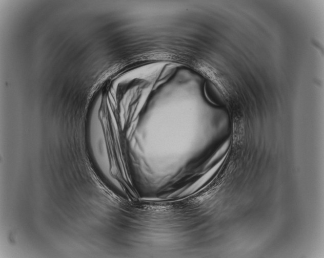 X0000097970349200804141058
