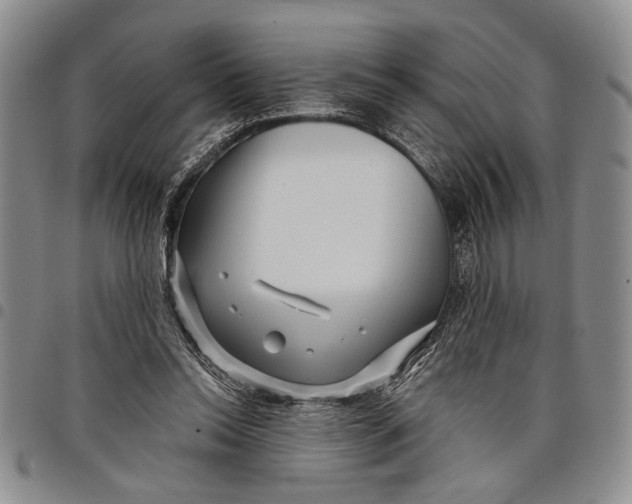 X0000097970350200804141058