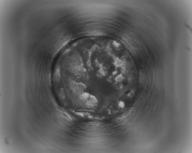 X0000097970351200804141058