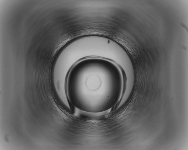 X0000097970352200804141058