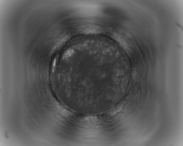 X0000097970353200804141058