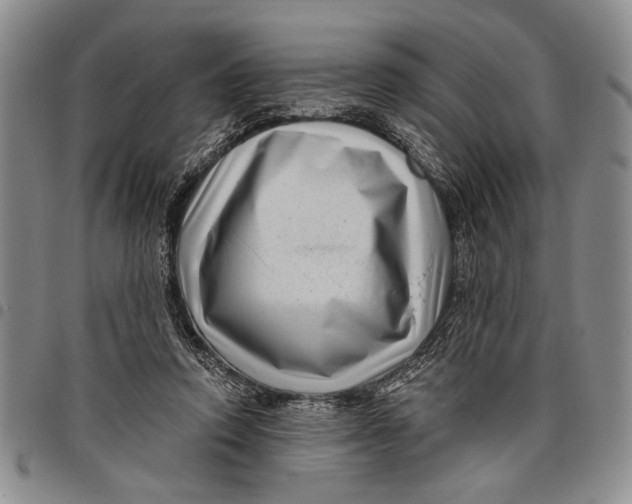 X0000097970354200804141058