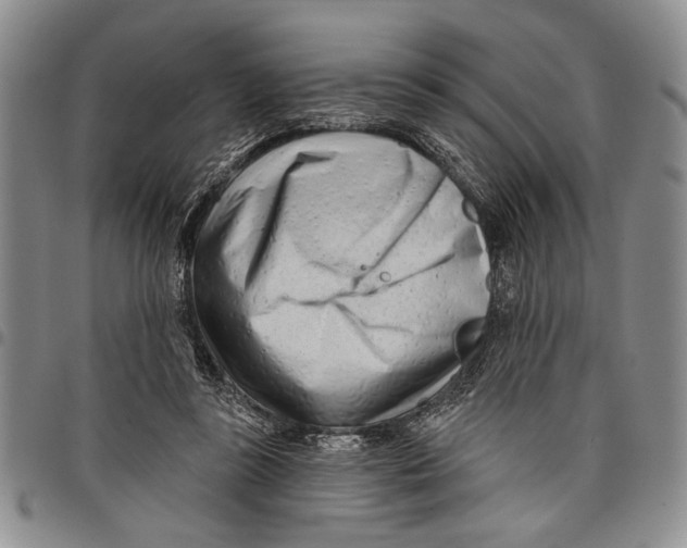 X0000097970355200804141058