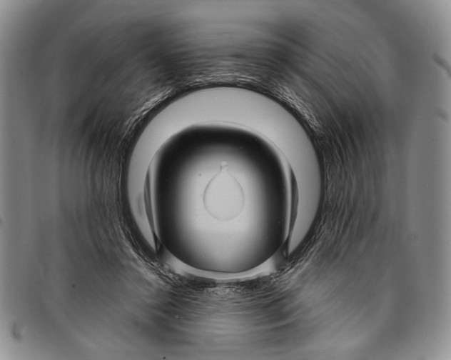 X0000097970356200804141058