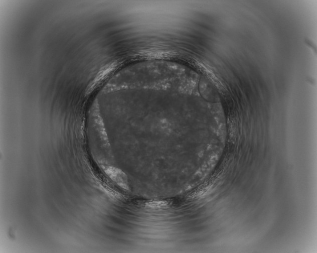 X0000097970357200804141058