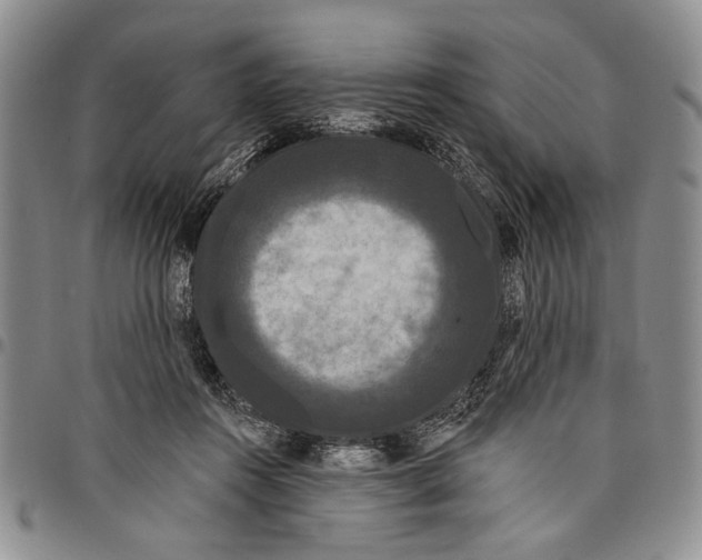 X0000097970360200804141058