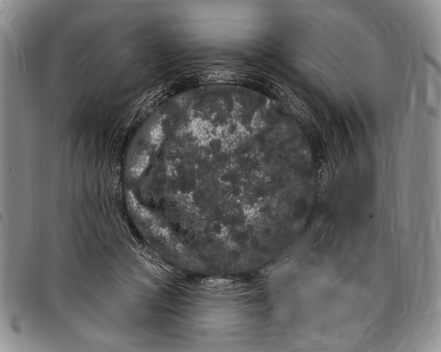 X0000097970361200804141058