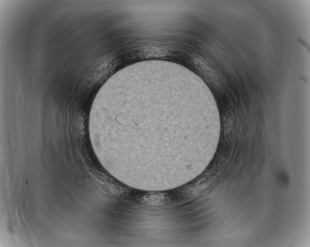 X0000097970362200804141058