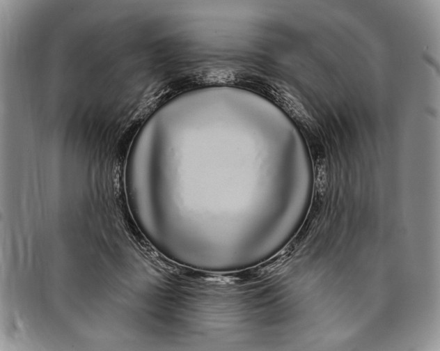 X0000097970363200804141058