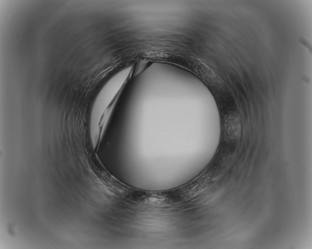 X0000097970364200804141058