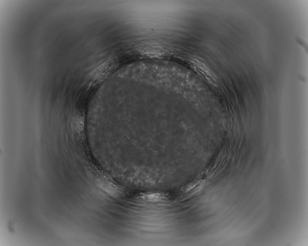 X0000097970365200804141058