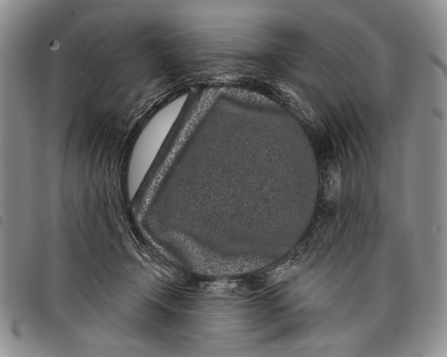 X0000097970366200804141058