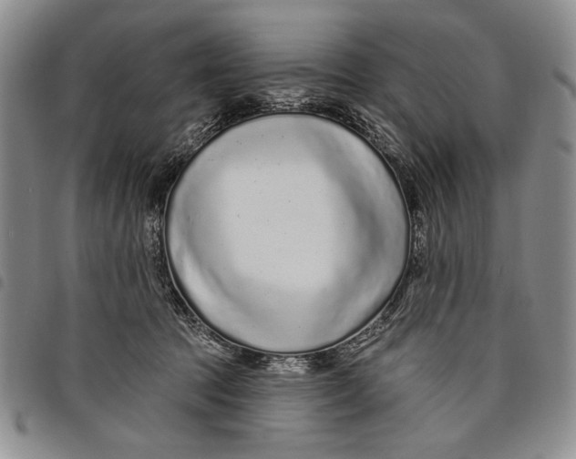 X0000097970369200804141058