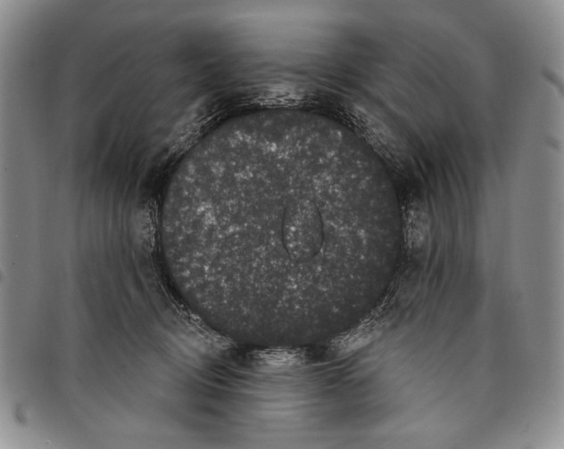 X0000097970370200804141058