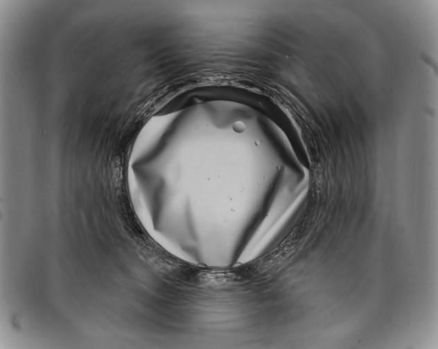 X0000097970372200804141058